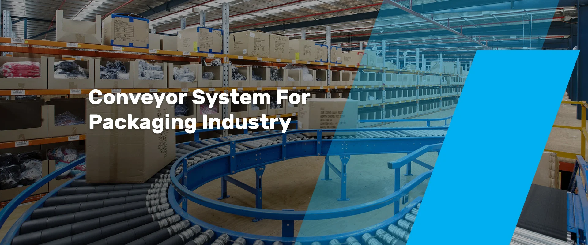 conveyor-system-for-packing-industry
